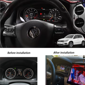 Tiguan 2009